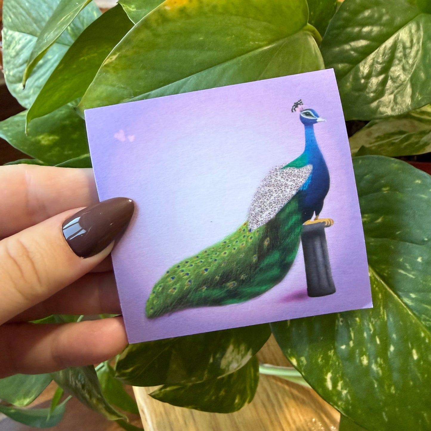 Purple Peacock Sticky Notes