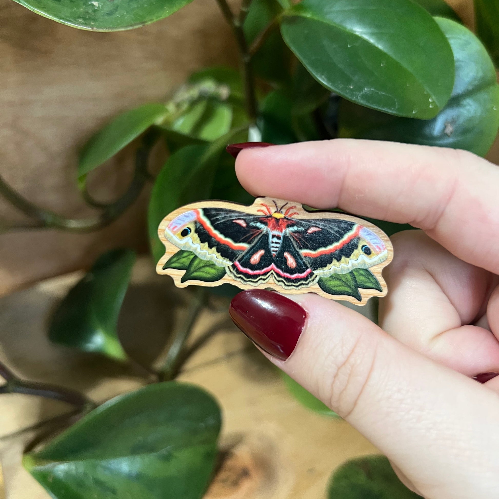 Hand holding a colorful butterfly-shaped object with green leaves in the background