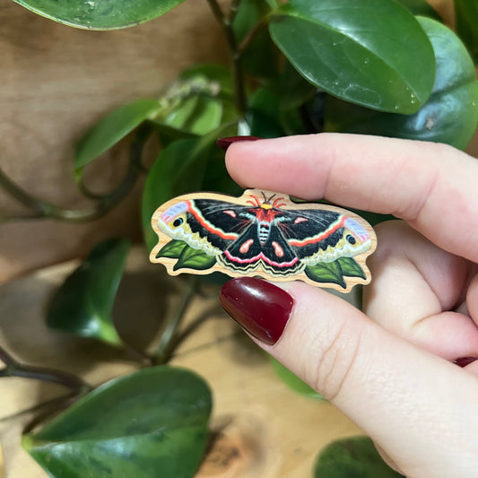 Hand holding a colorful butterfly-shaped object with green leaves in the background