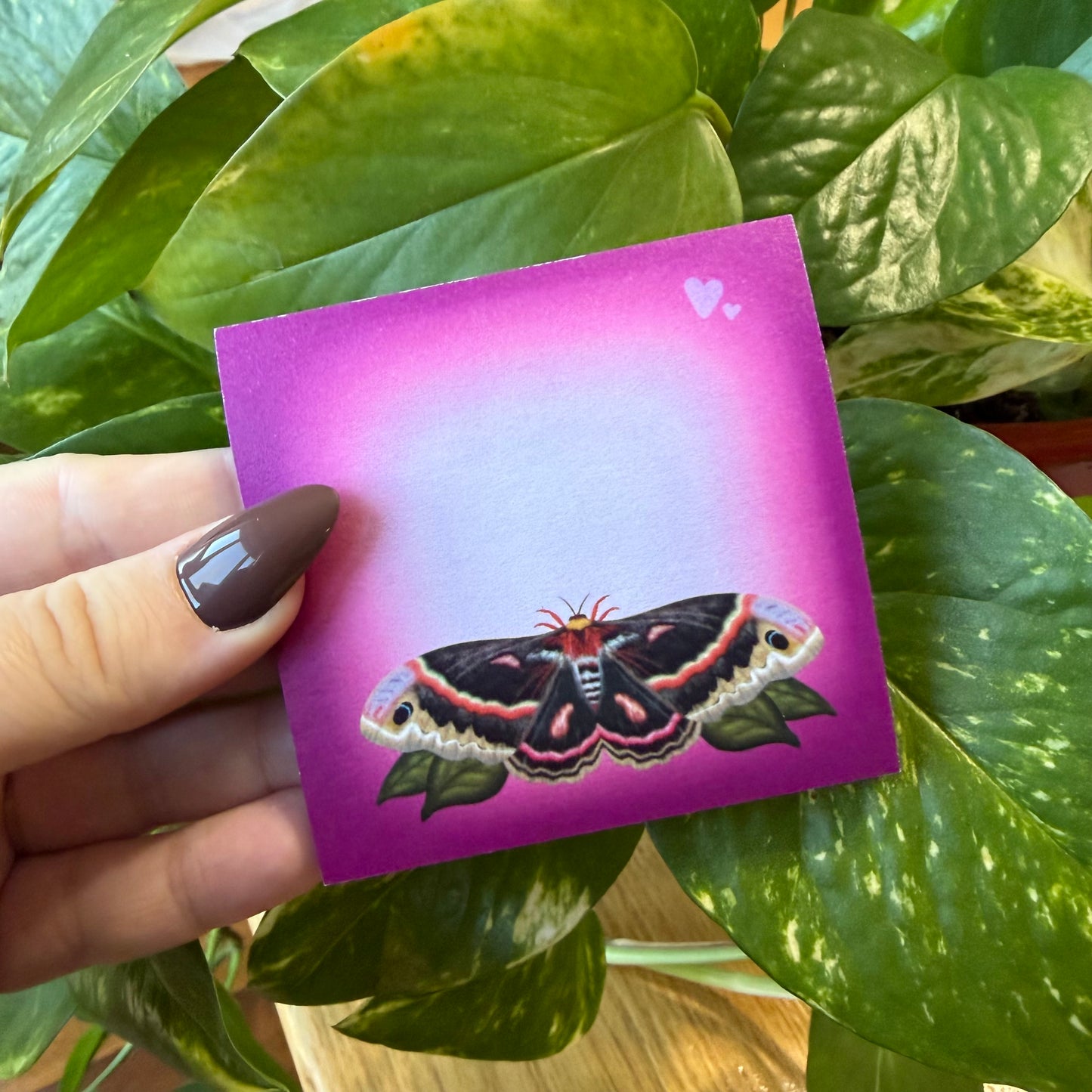 Pink Moth Sticky Notes