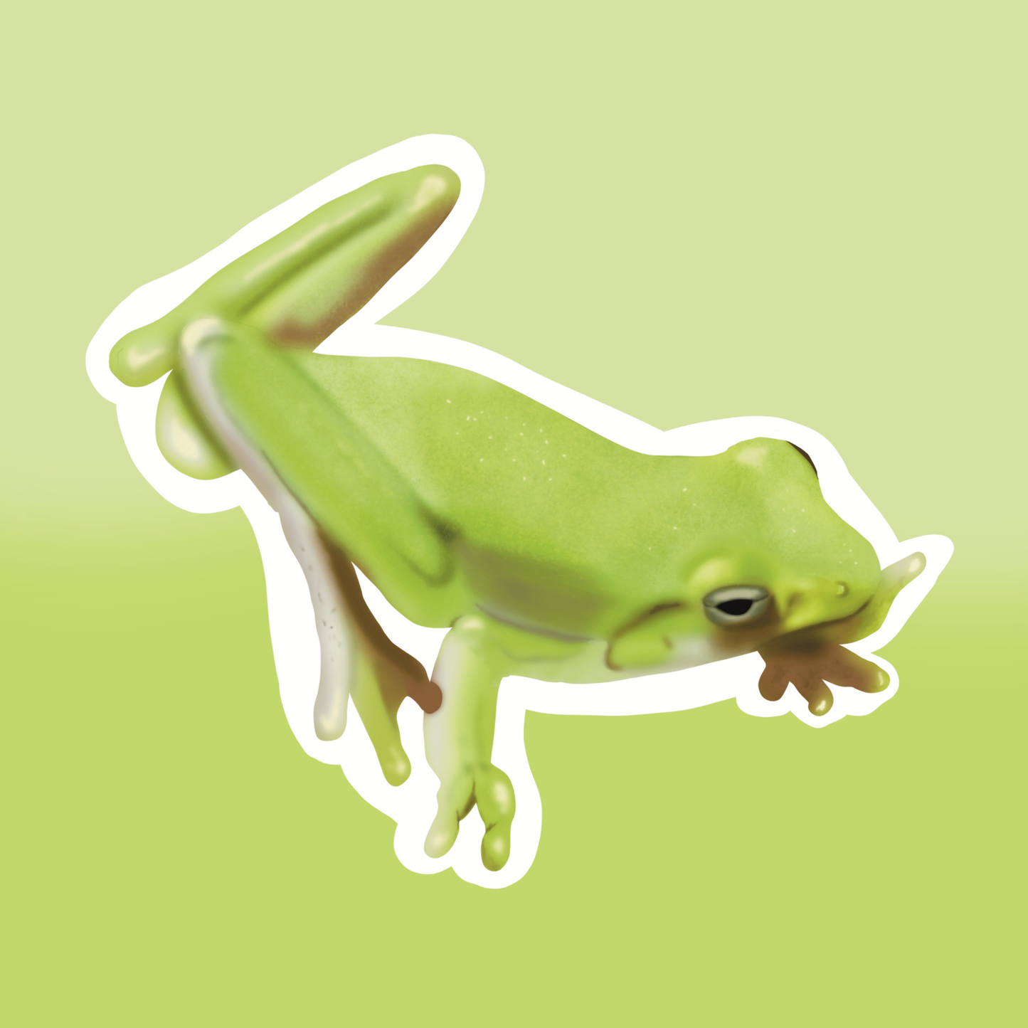 Green Tree Frog Sticker