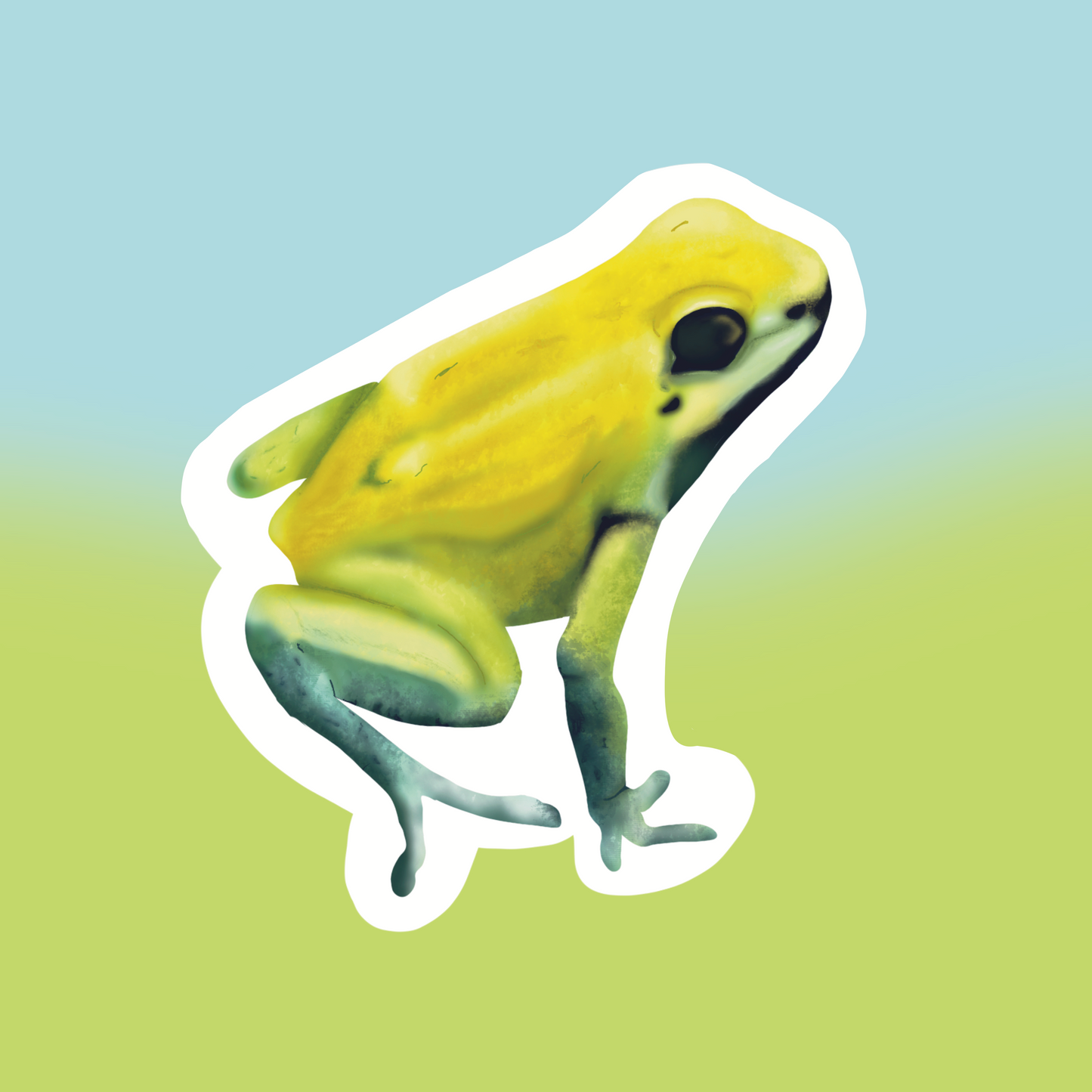 Poison Dart Frog Sticker